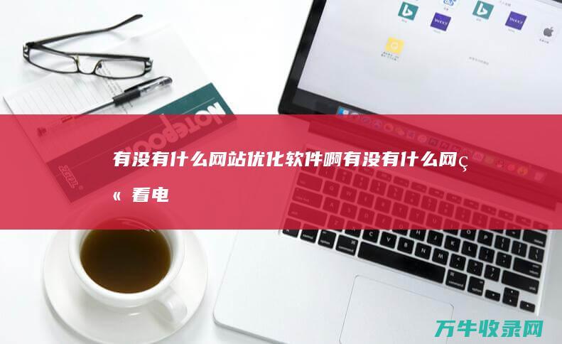 有没有什么网站优化软件啊 (有没有什么网站看电影)