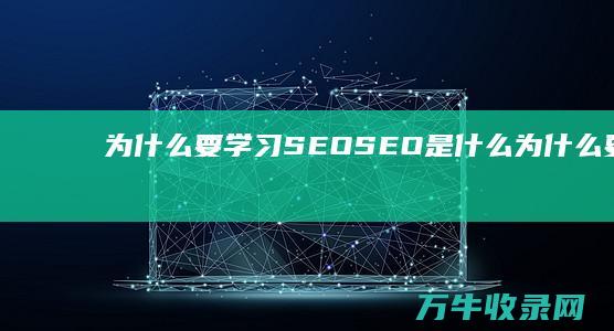 为什么要学习SEO SEO是什么 (为什么要学书法的理由)