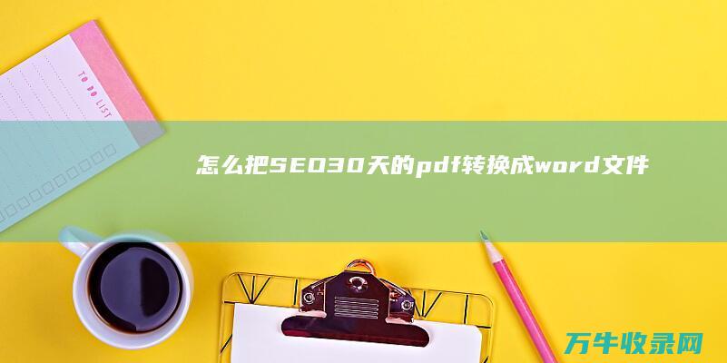 怎么把SEO30天的pdf转换成word文件 (怎么把sesx格式改成mp3)