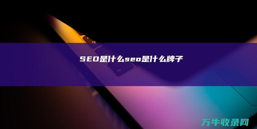 SEO是什么 (seo是什么牌子)